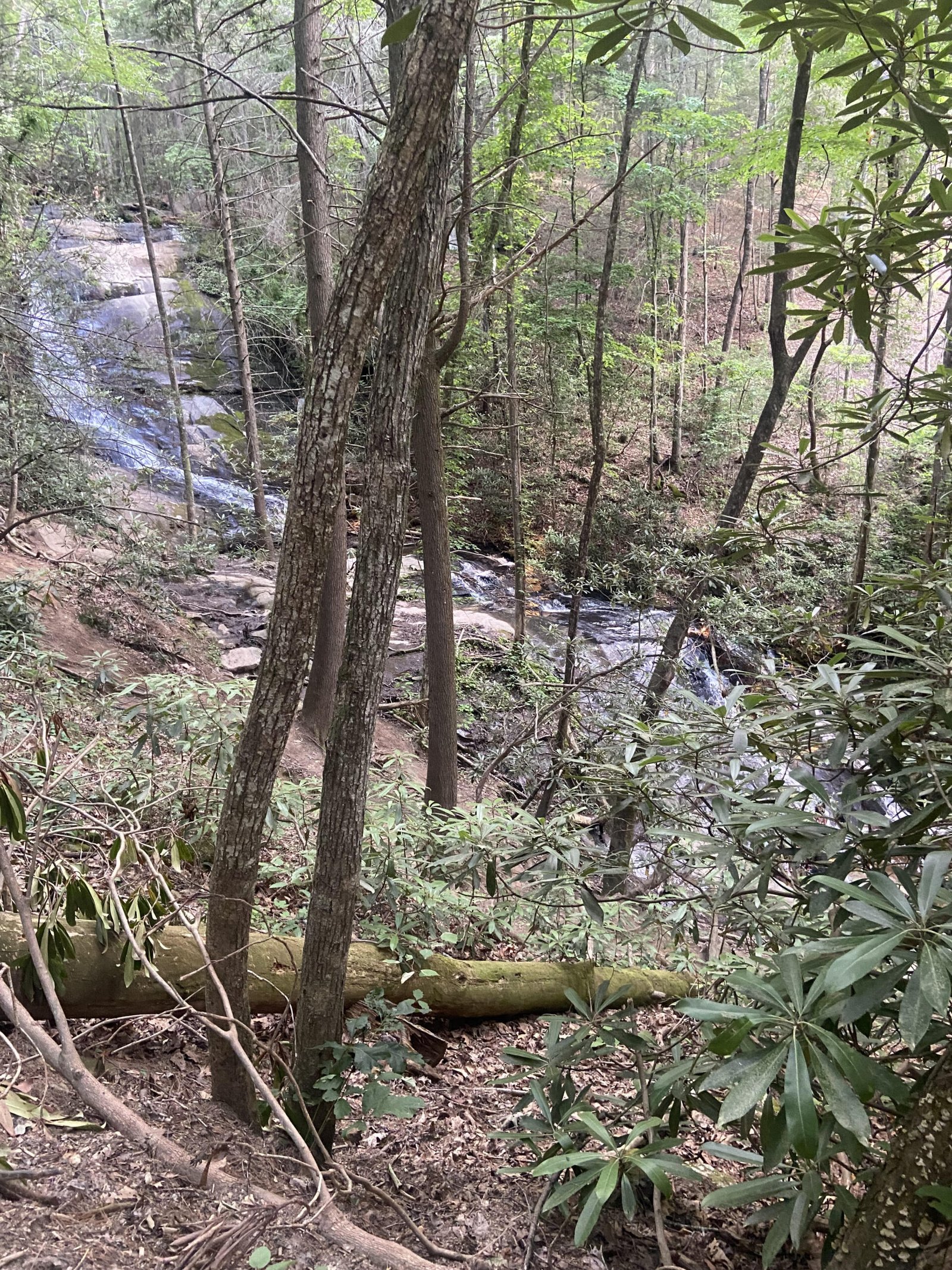 Falls Branch Falls